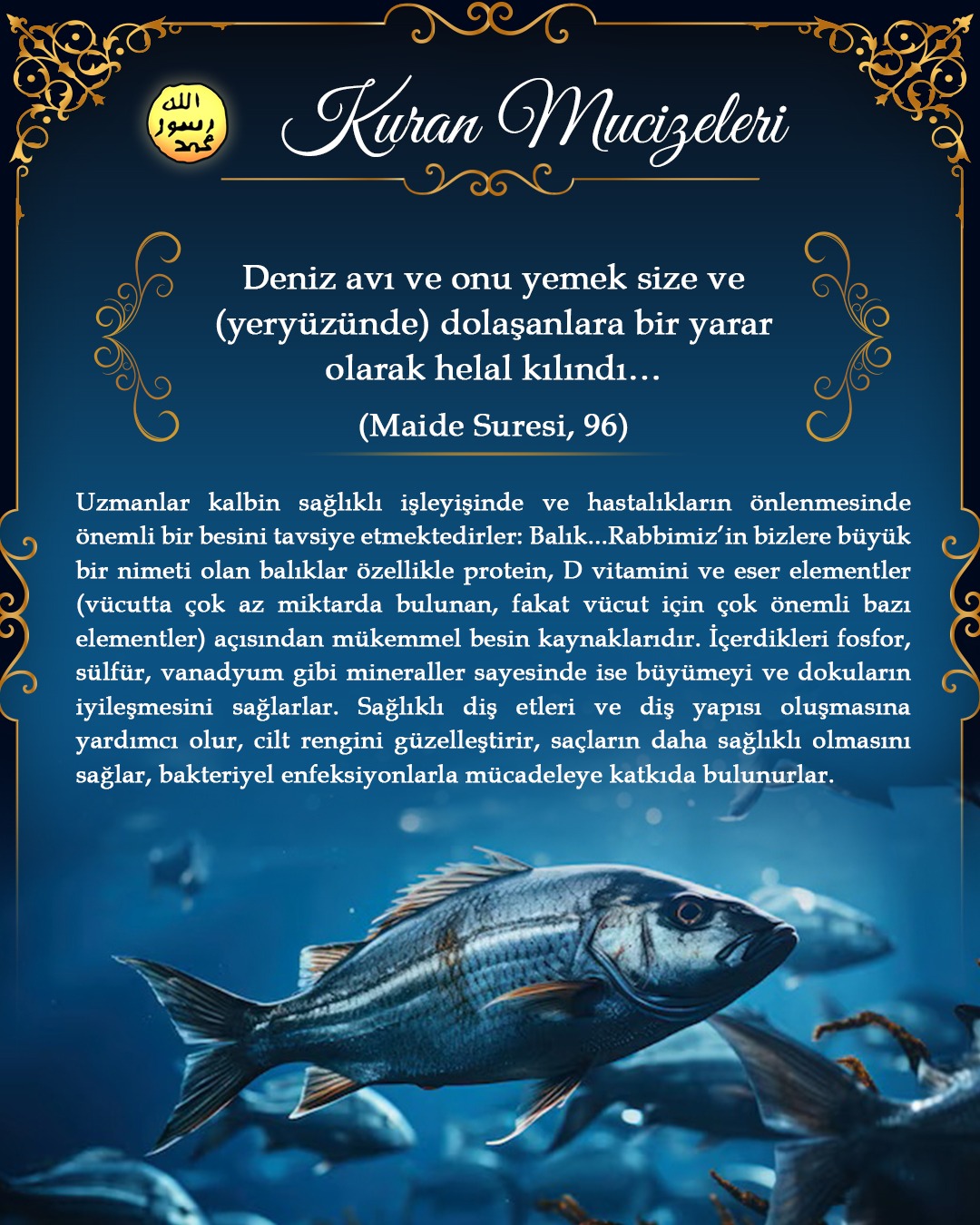 Değerli bir besin kaynağı: Balık
