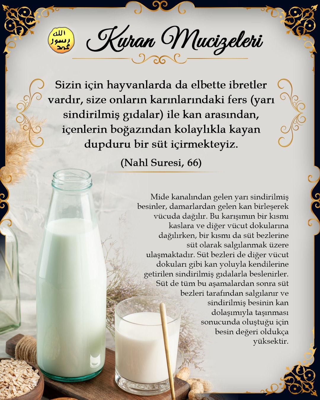 Kan dolaşımı ve sütün oluşumu