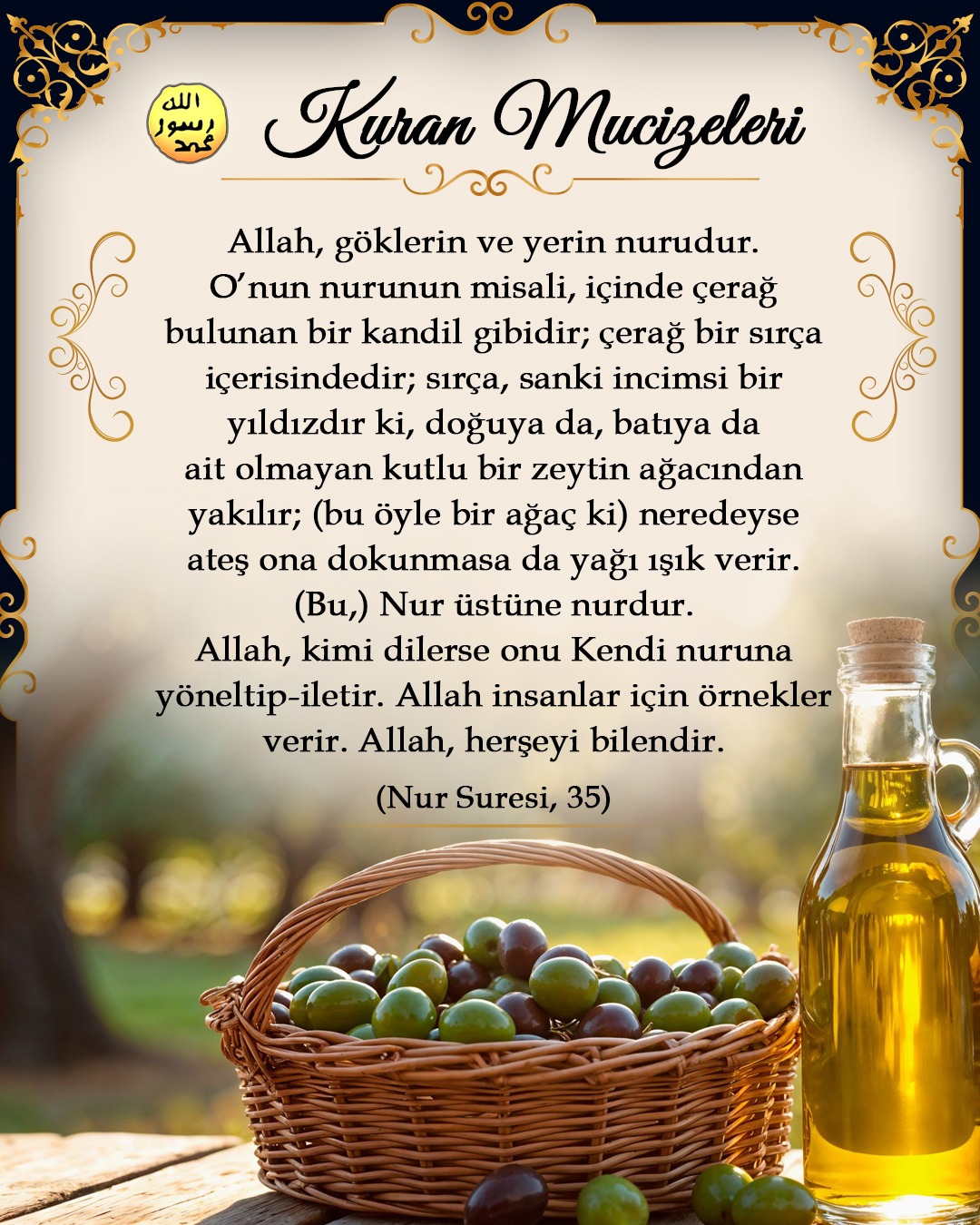 Şifa kaynağı bir bitki: Zeytin