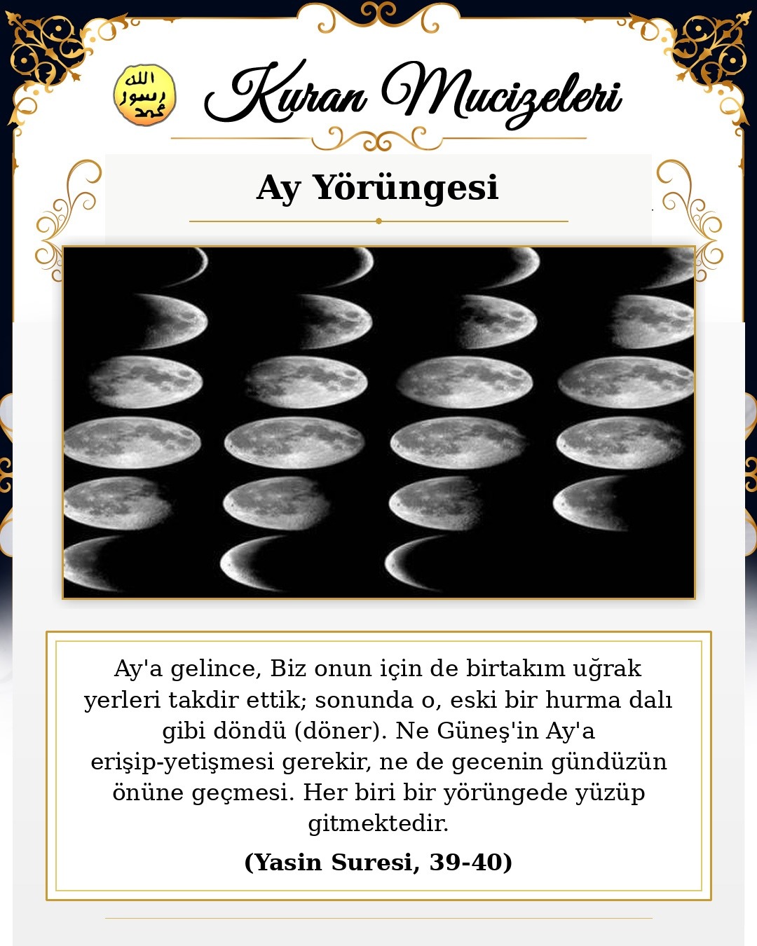 Ay Yörüngesi 