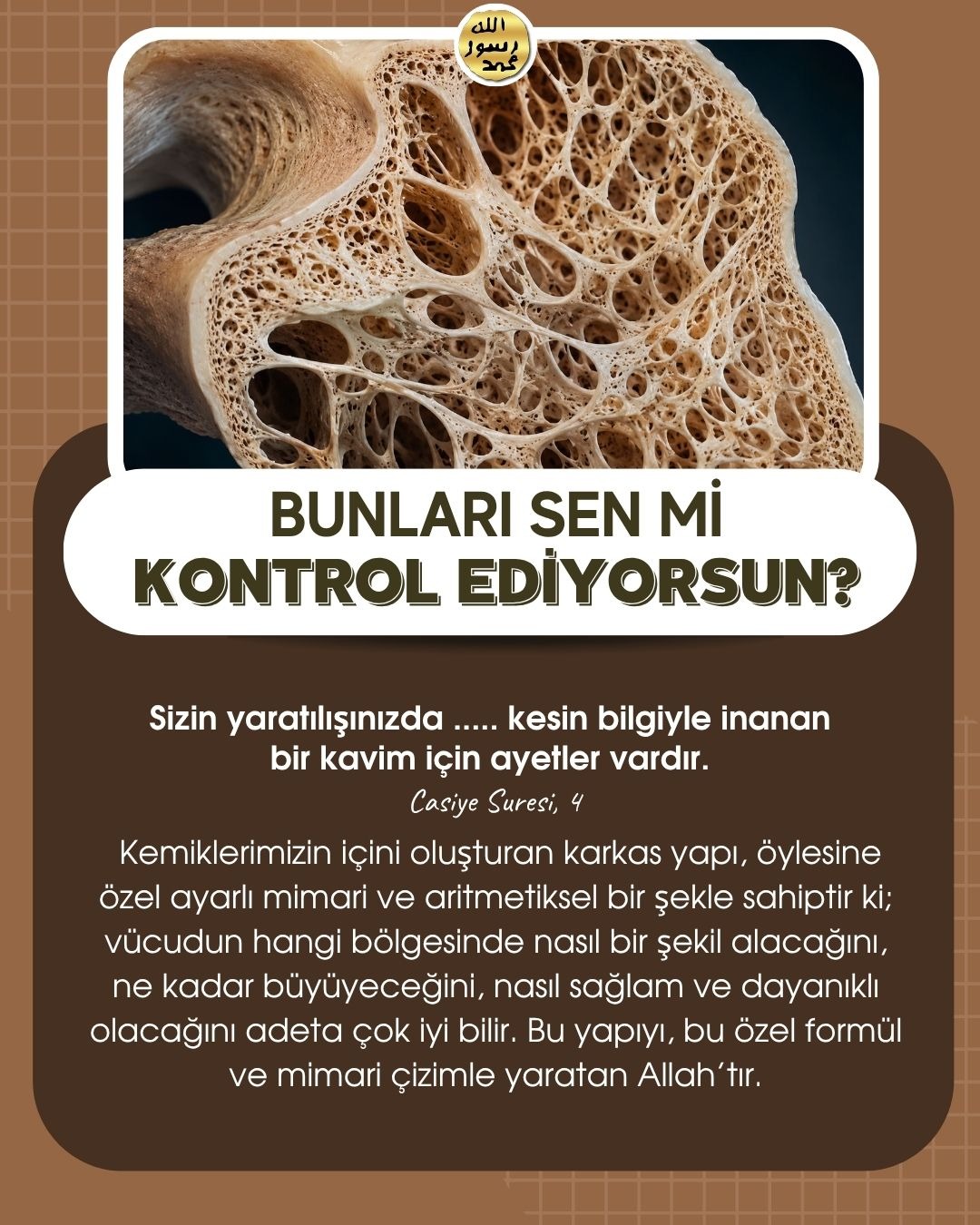Bunları Sen Mi Kontrol Ediyorsun ?