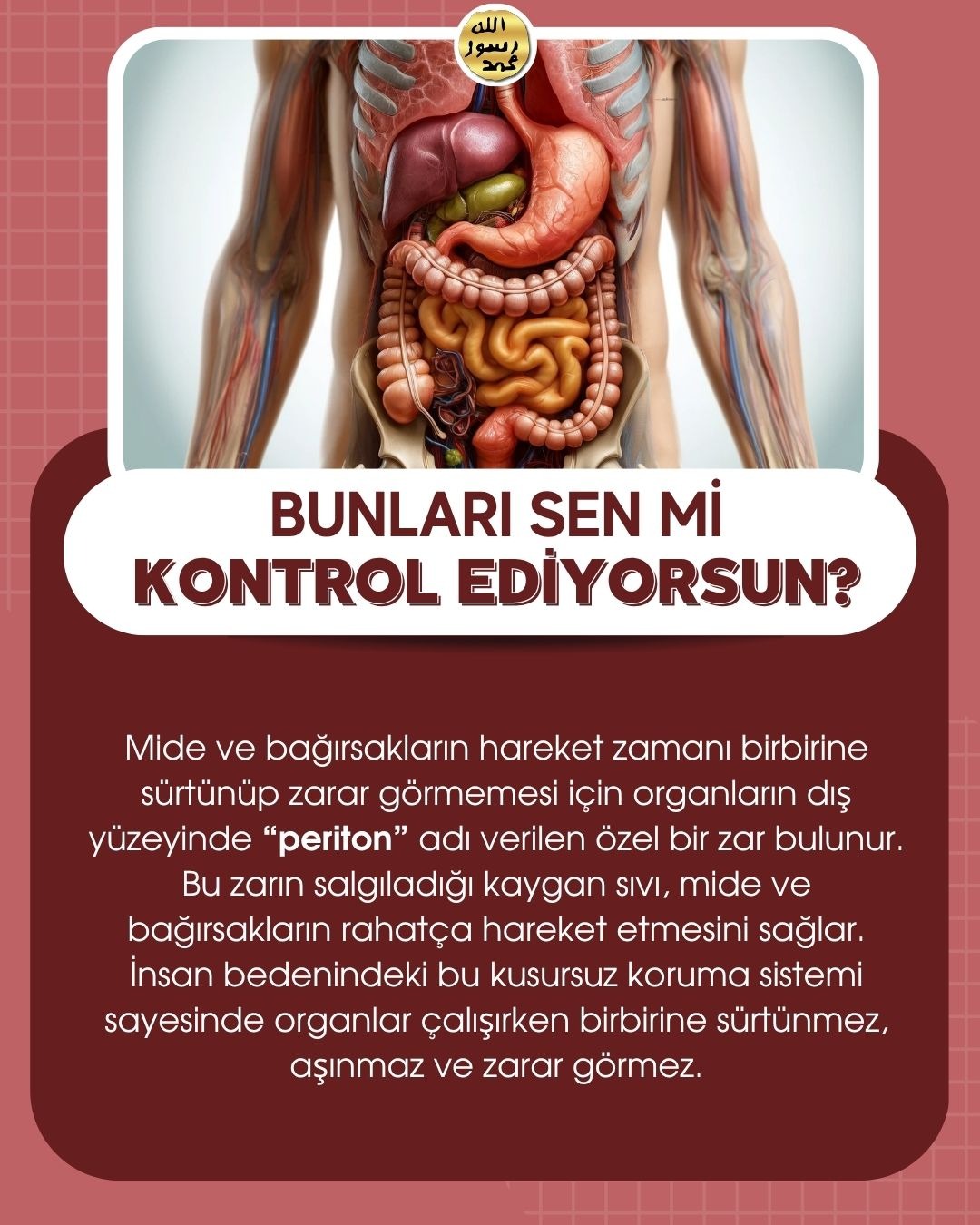 Bunları Sen Mi Kontrol Ediyorsun ?
