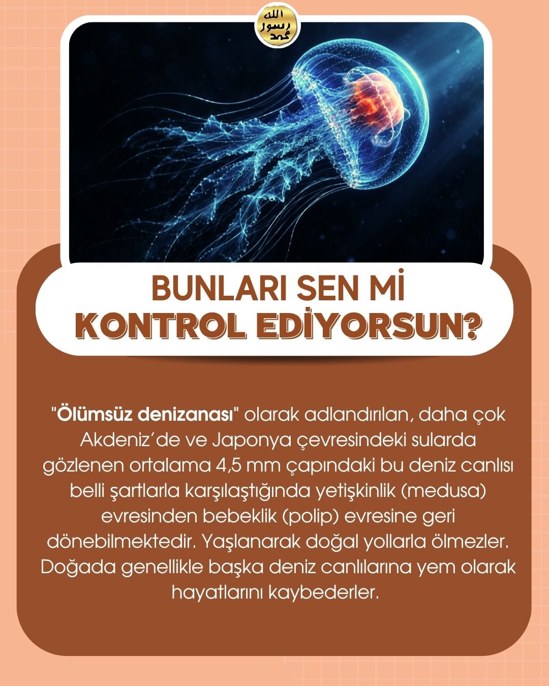 Bunları Sen Mi Kontrol Ediyorsun ?