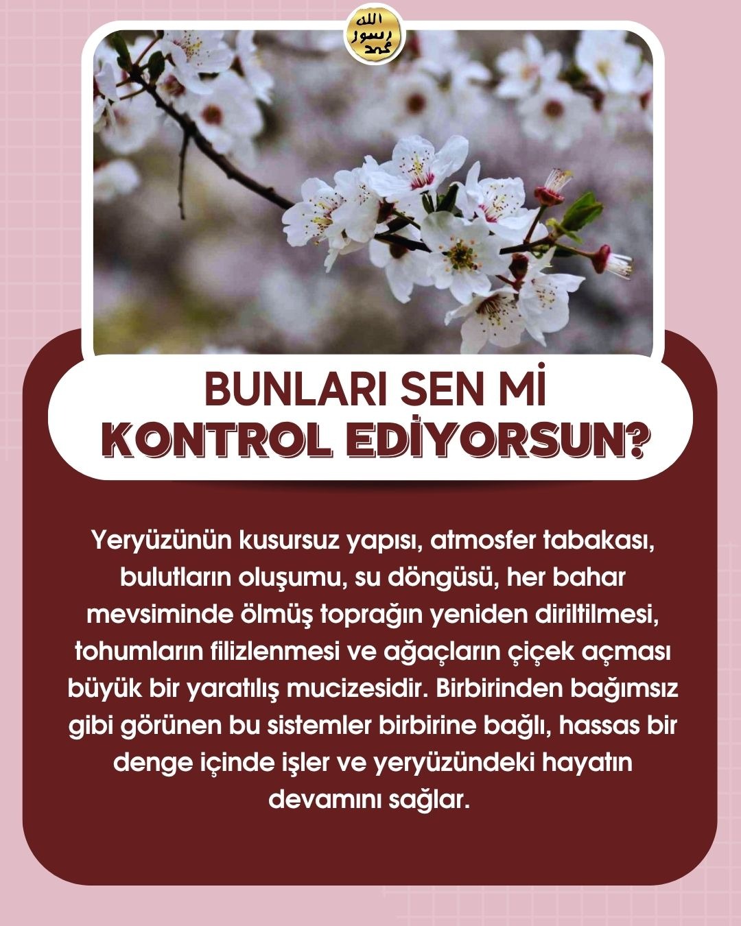 Bunları Sen Mi Kontrol Ediyorsun ?