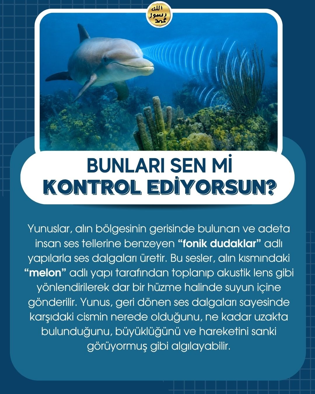 Bunları Sen Mi Kontrol Ediyorsun ?
