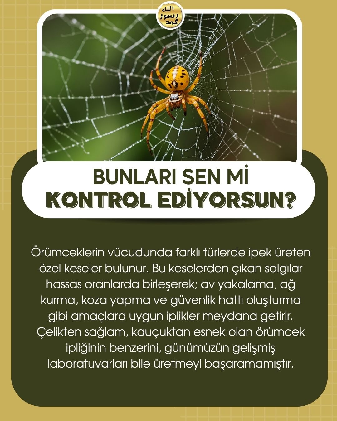 Bunları Sen Mi Kontrol Ediyorsun ?