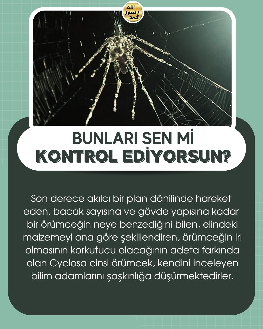Bunları Sen Mi Kontrol Ediyorsun ?