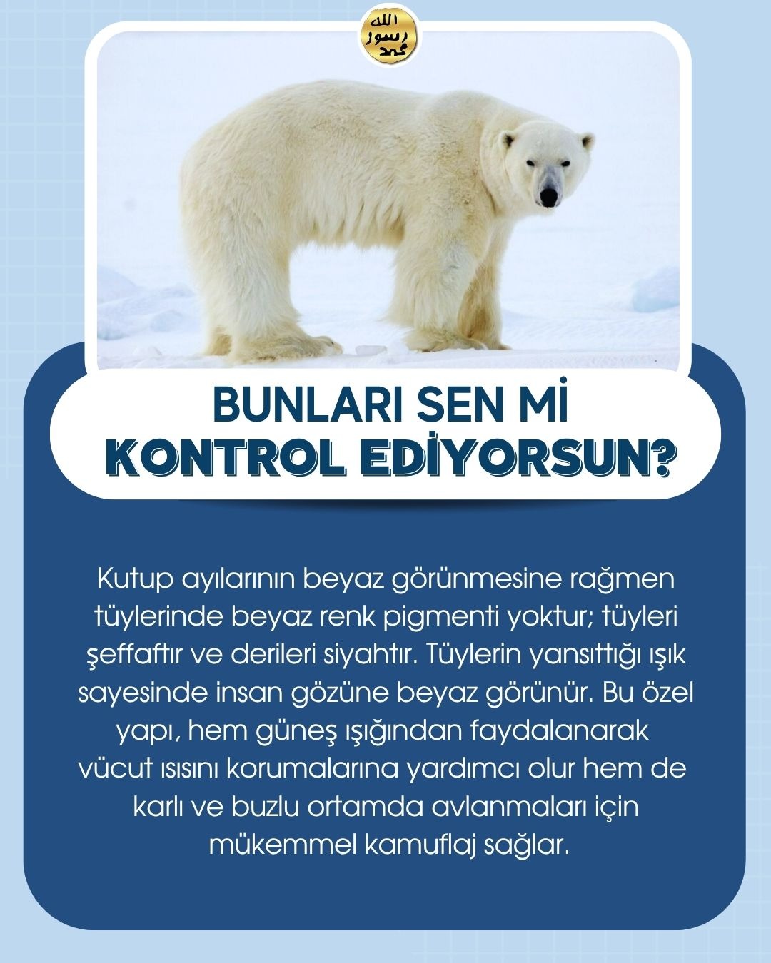 Bunları Sen Mi Kontrol Ediyorsun ?