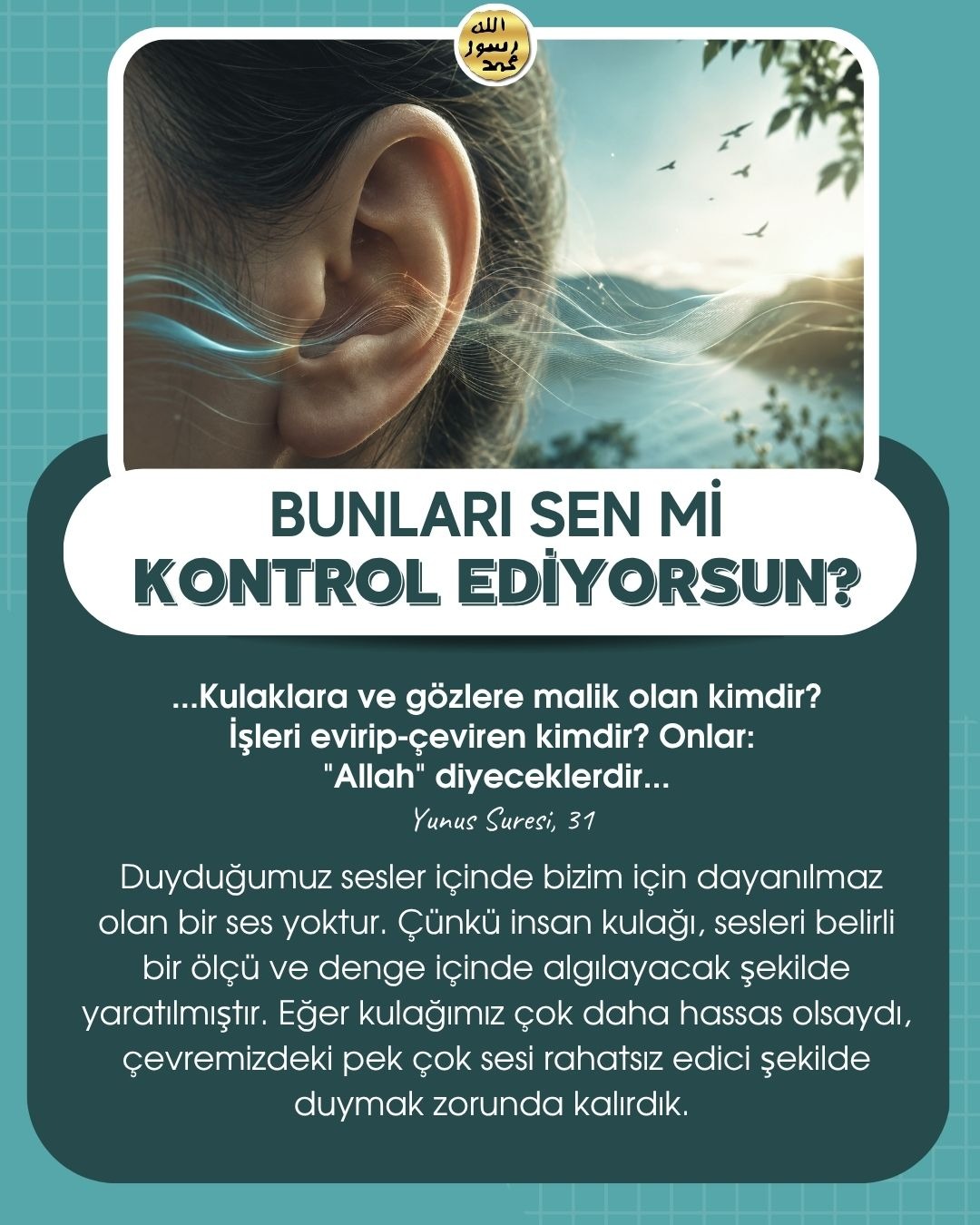 Bunları Sen Mi Kontrol Ediyorsun ?