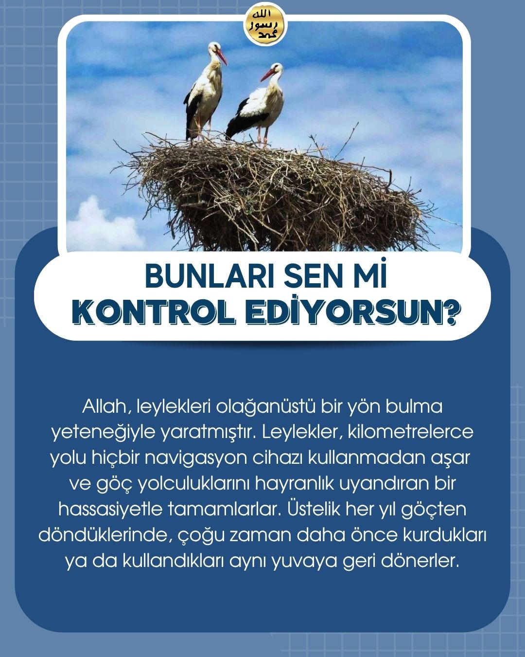 Bunları Sen Mi Kontrol Ediyorsun ?