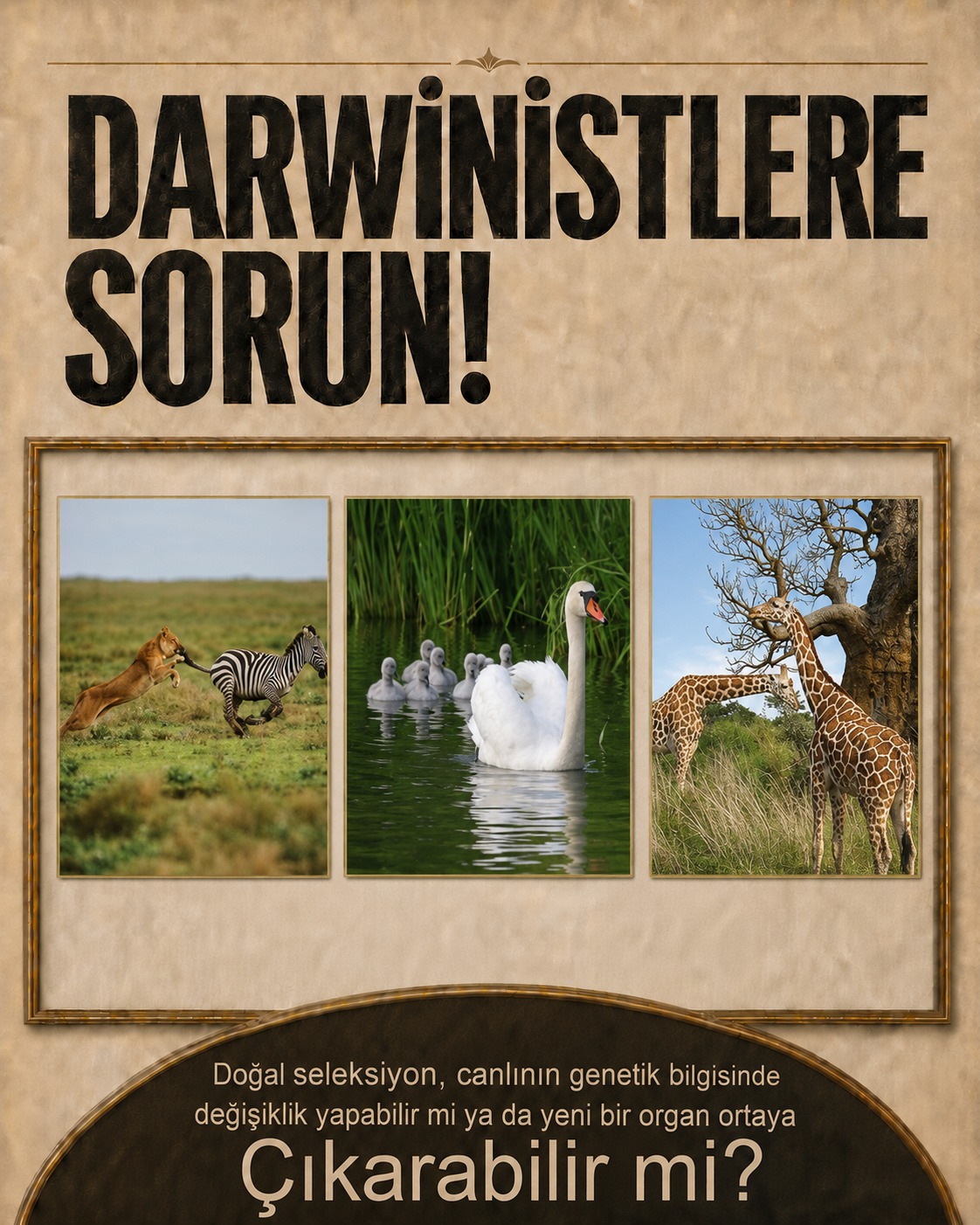 Hayır yapamaz