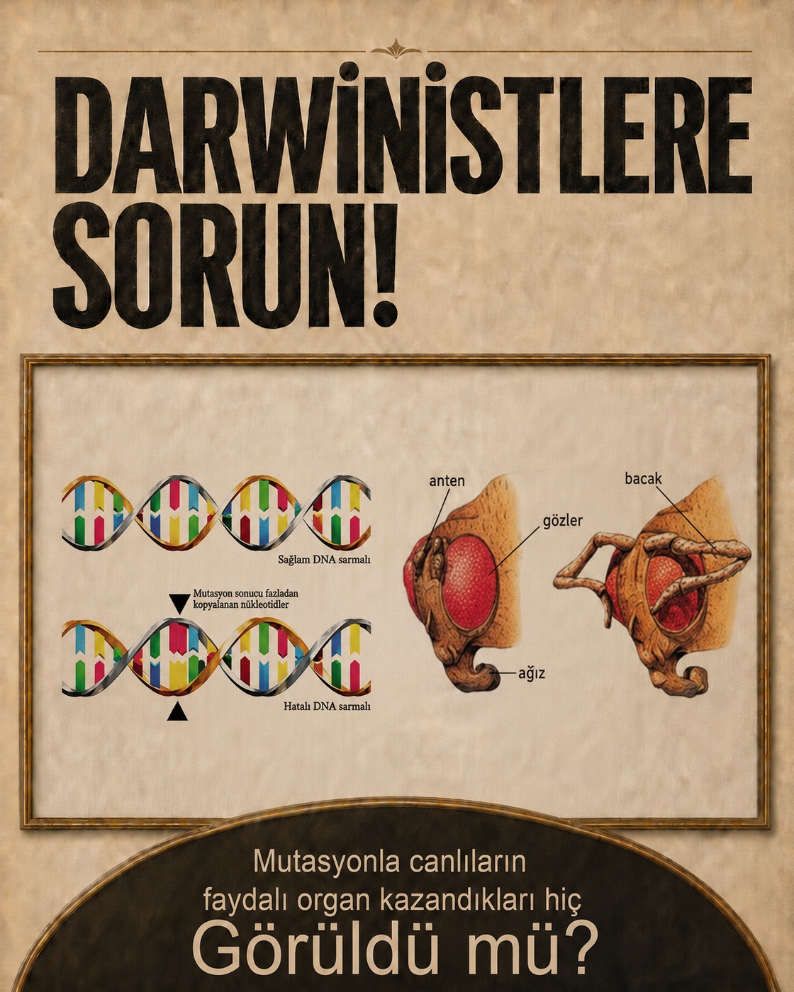 Hayır görülmedi