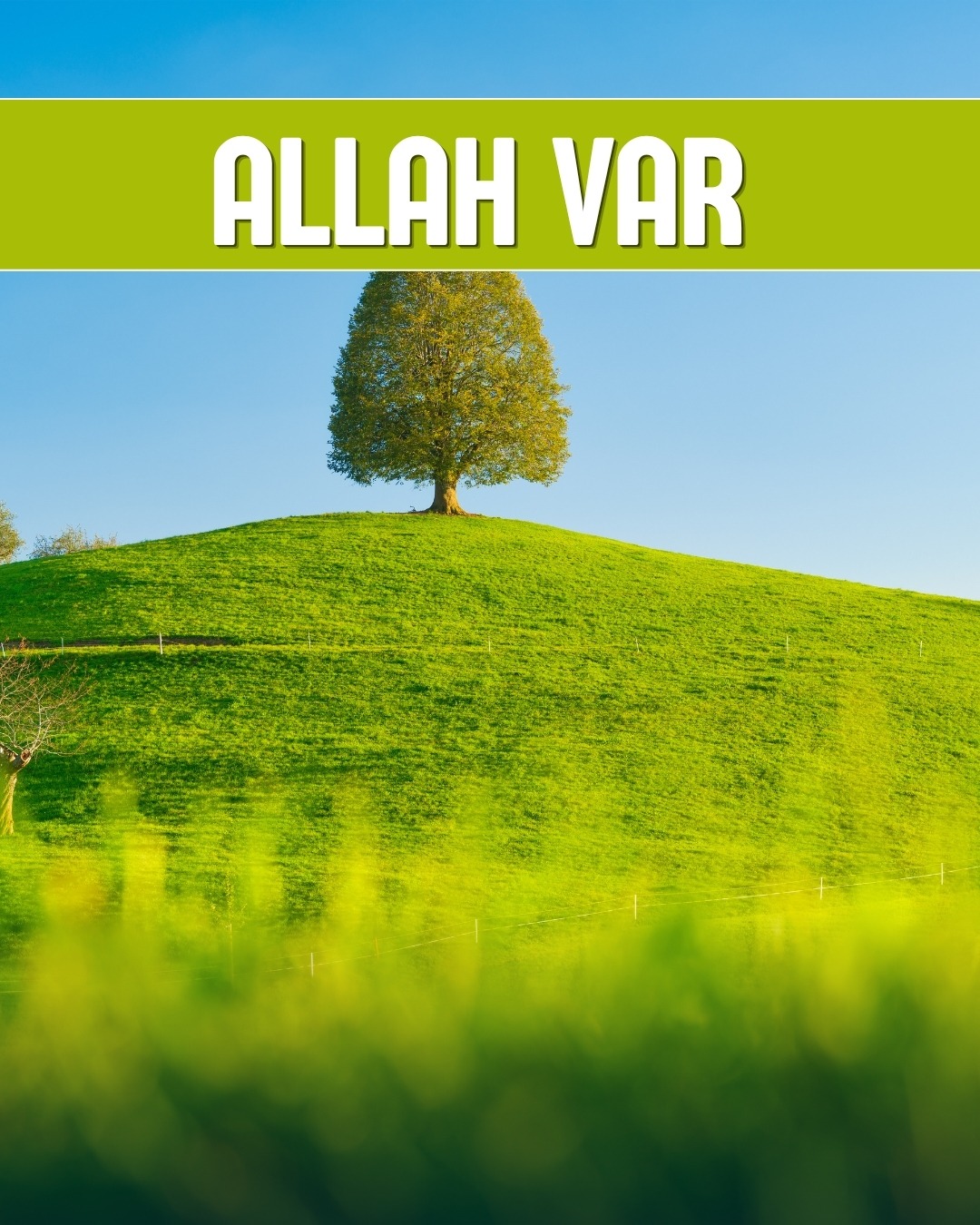 Allah Var 