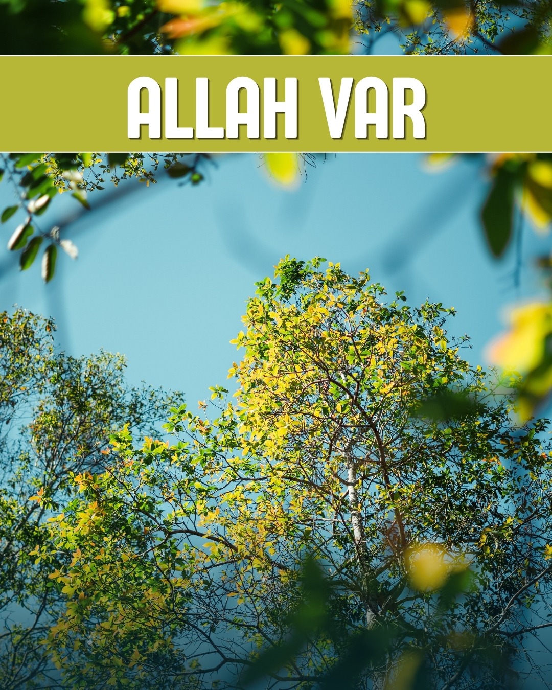 Allah Var 