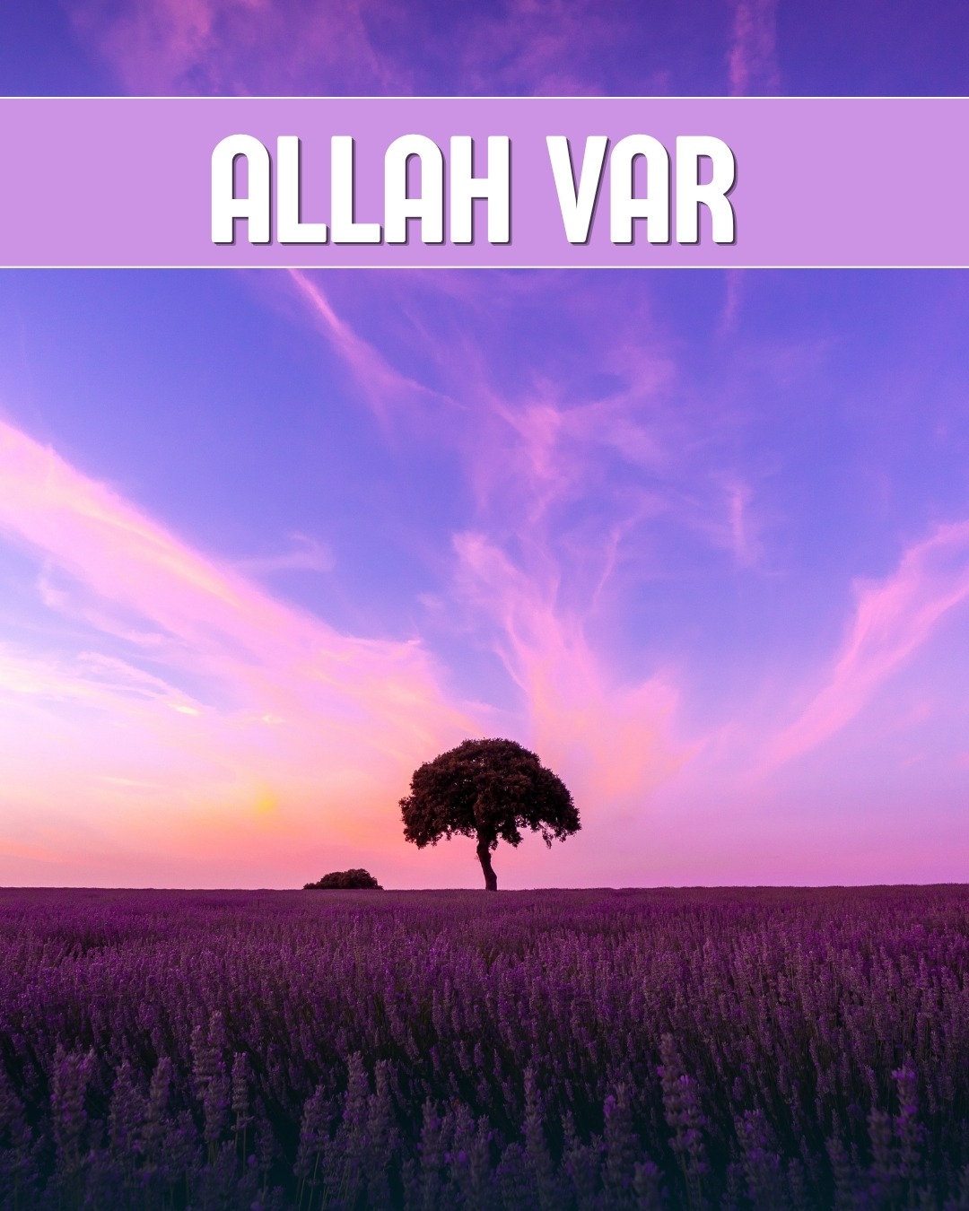 Allah Var 