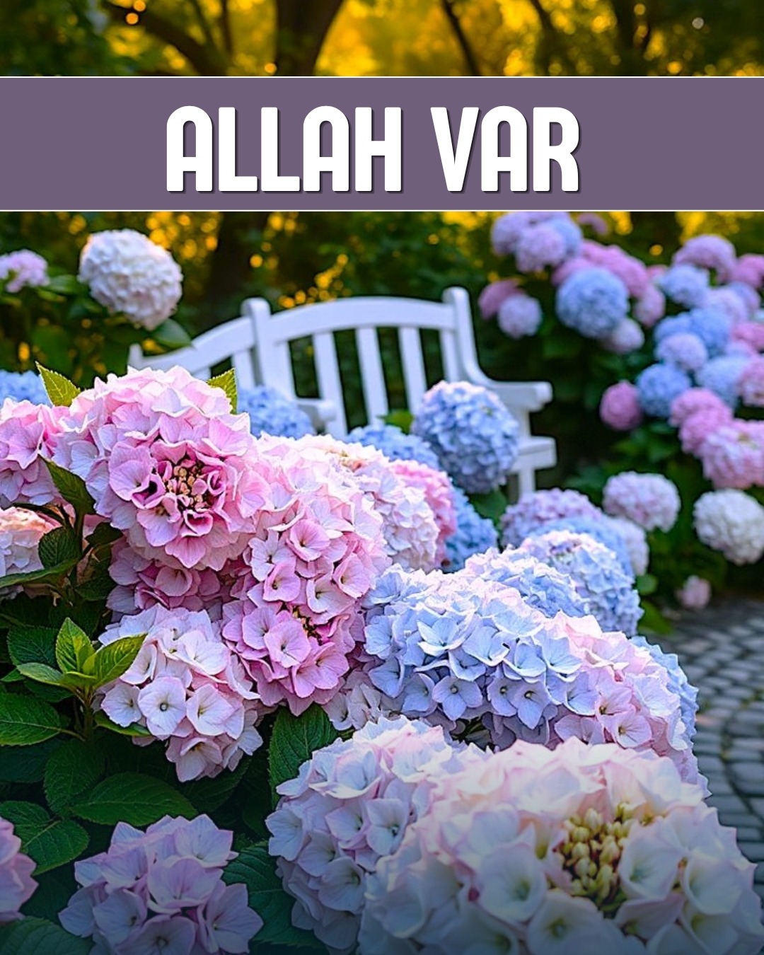 Allah Var 