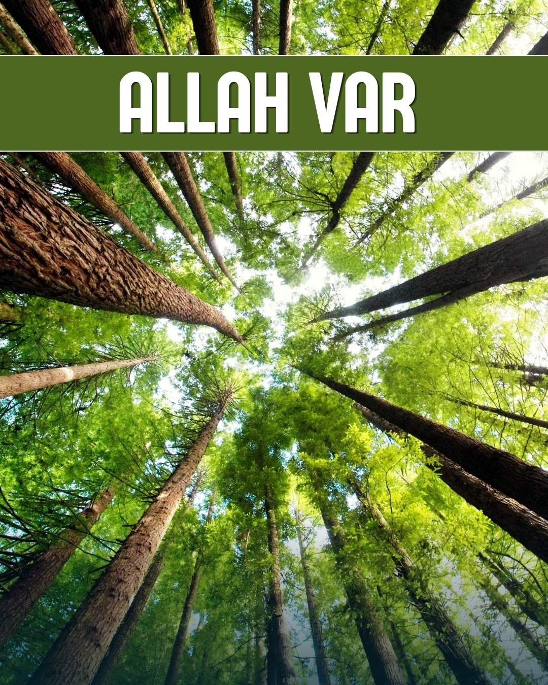 Allah Var 