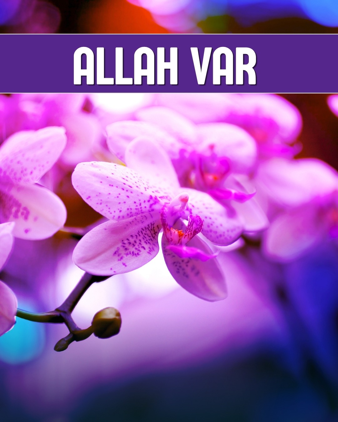 Allah Var 