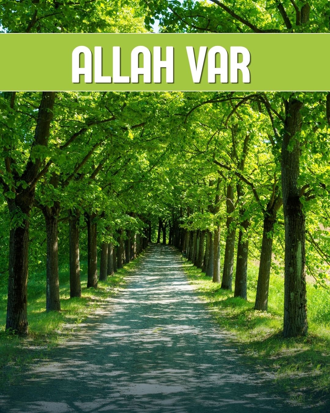 Allah Var 