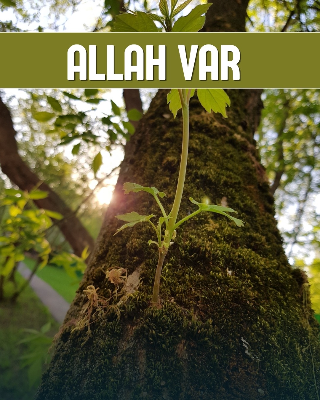 Allah Var 