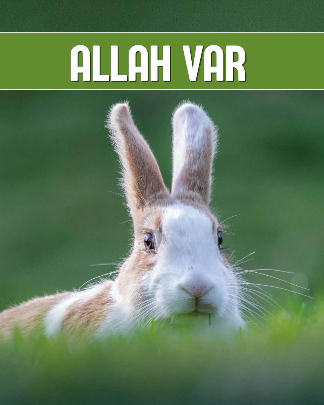 Allah Var 