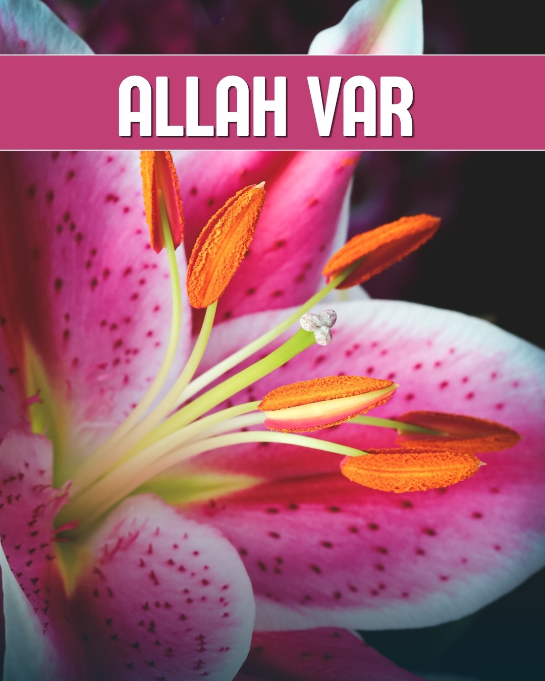 Allah Var 