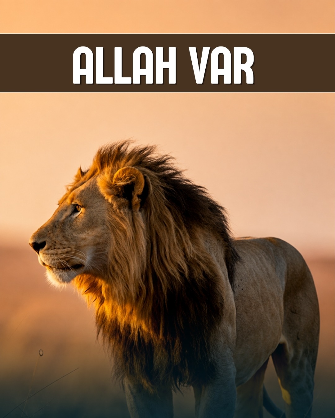 Allah Var 