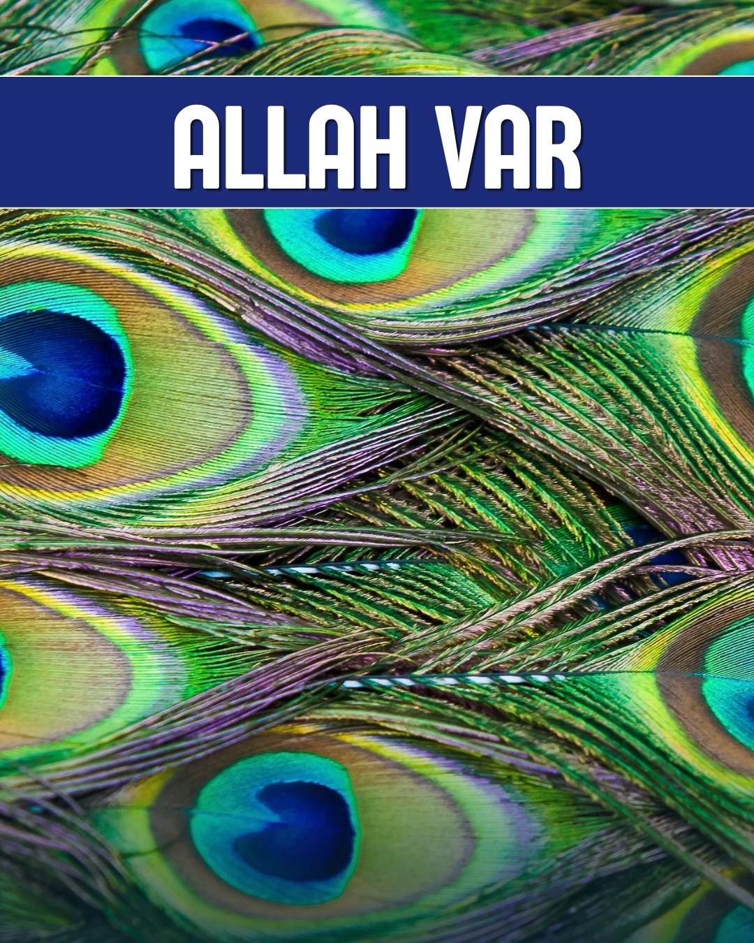 Allah Var 