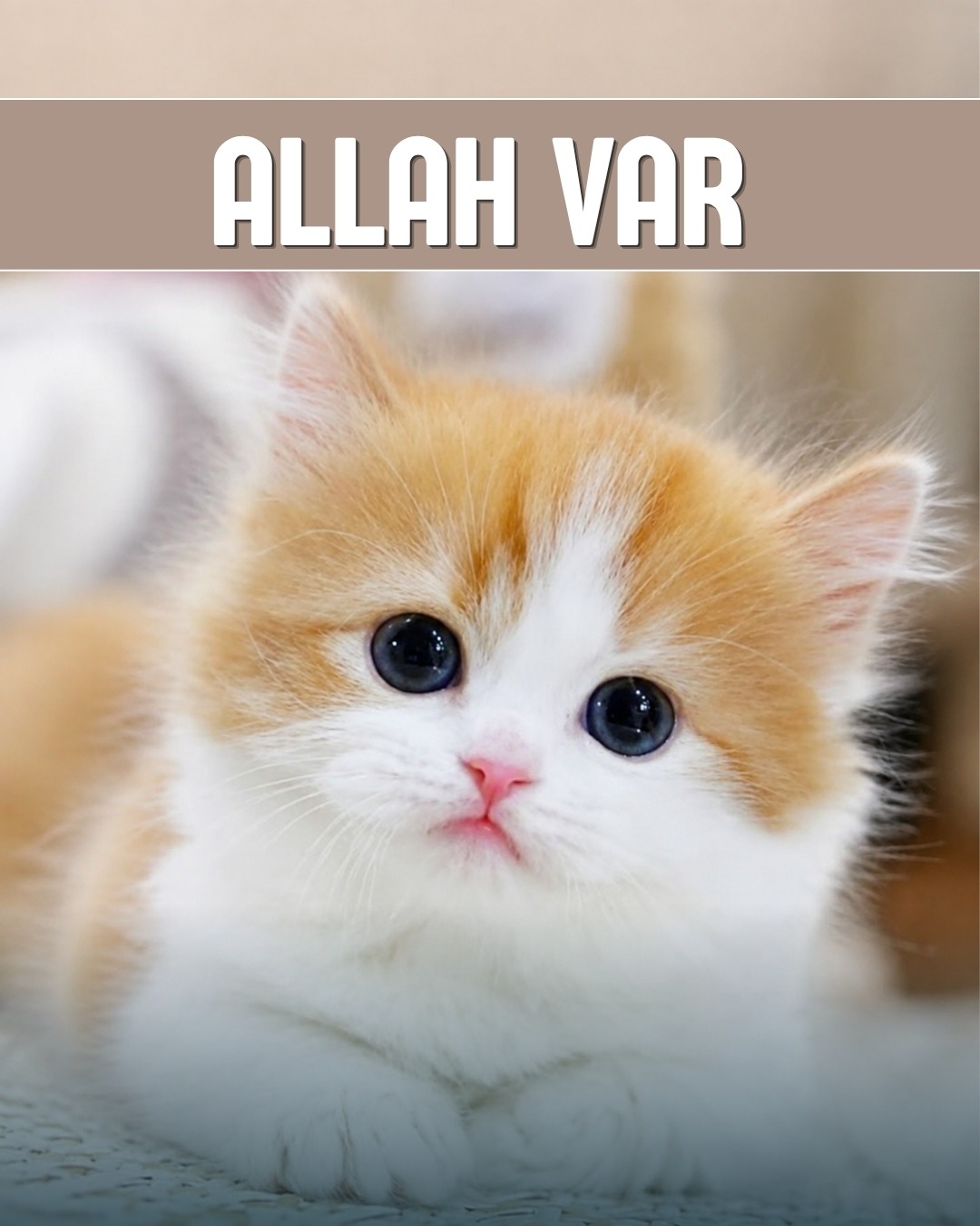 Allah Var 