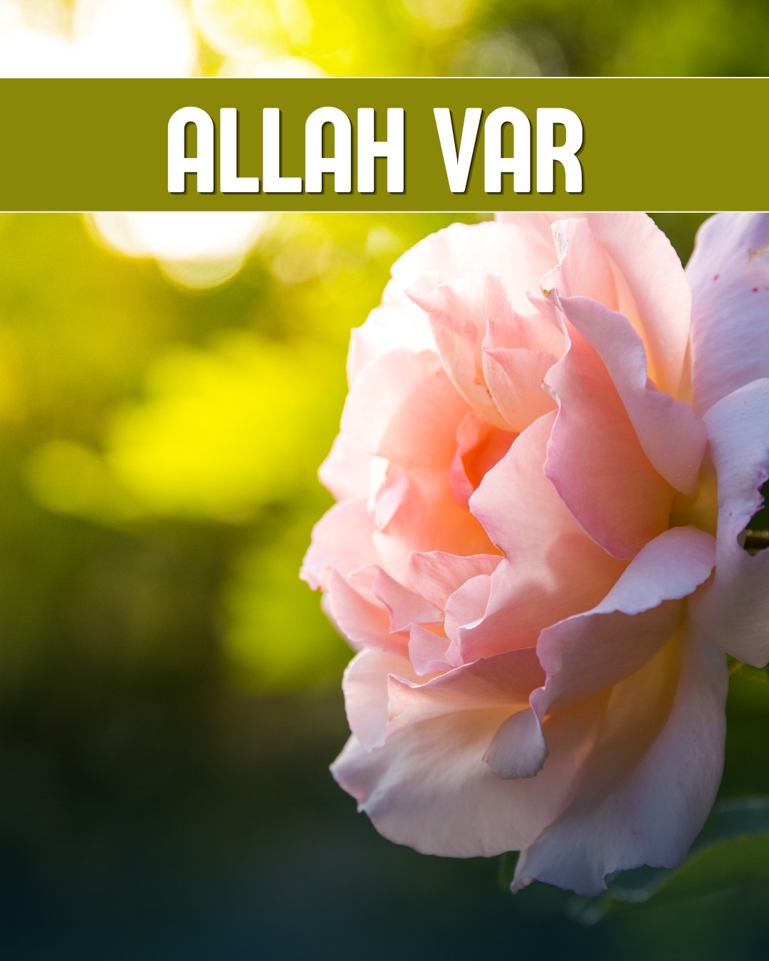 Allah Var 