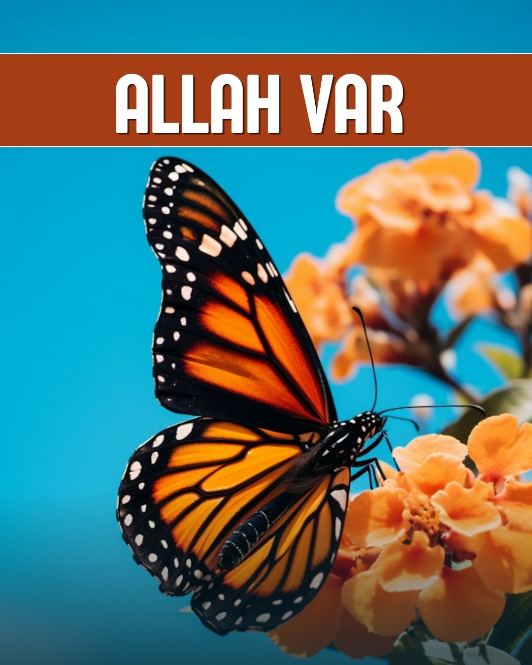 Allah Var 