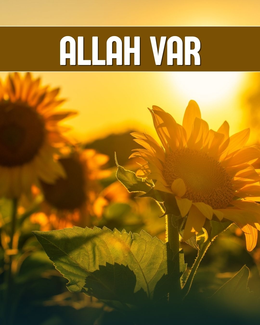 Allah Var 