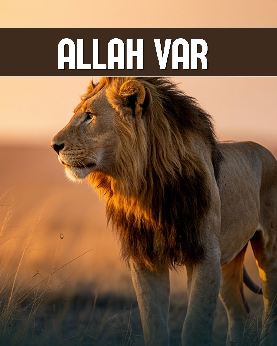 Allah Var 