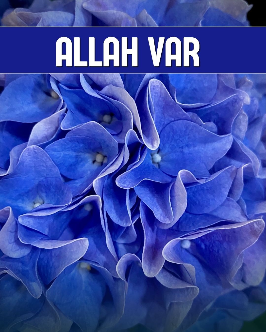 Allah Var 