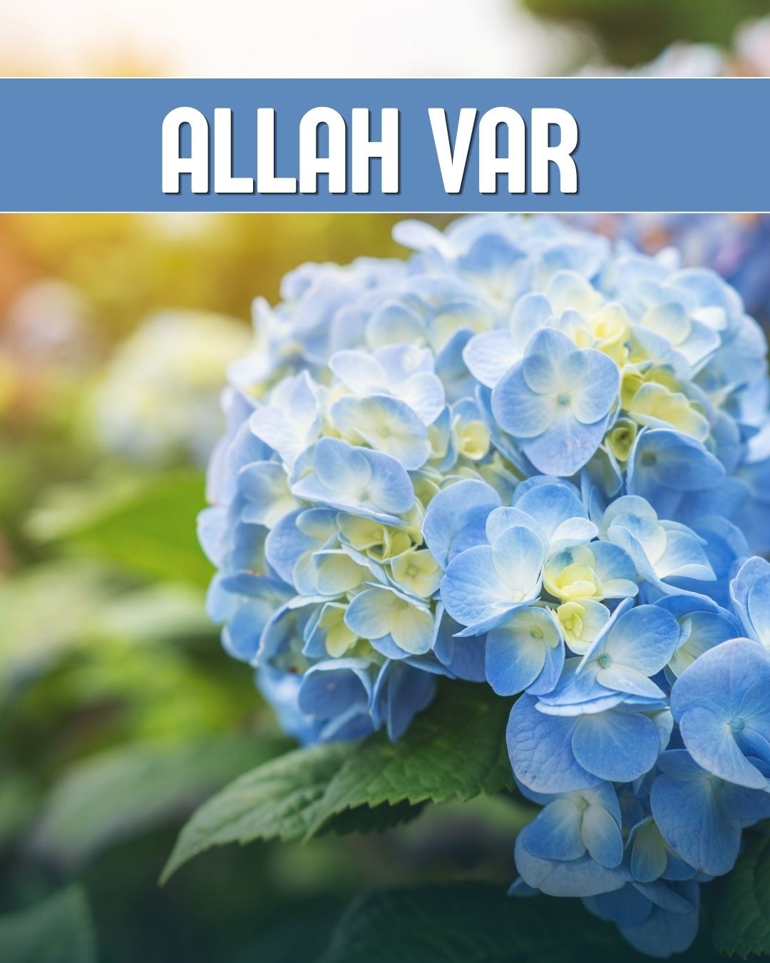 Allah Var 