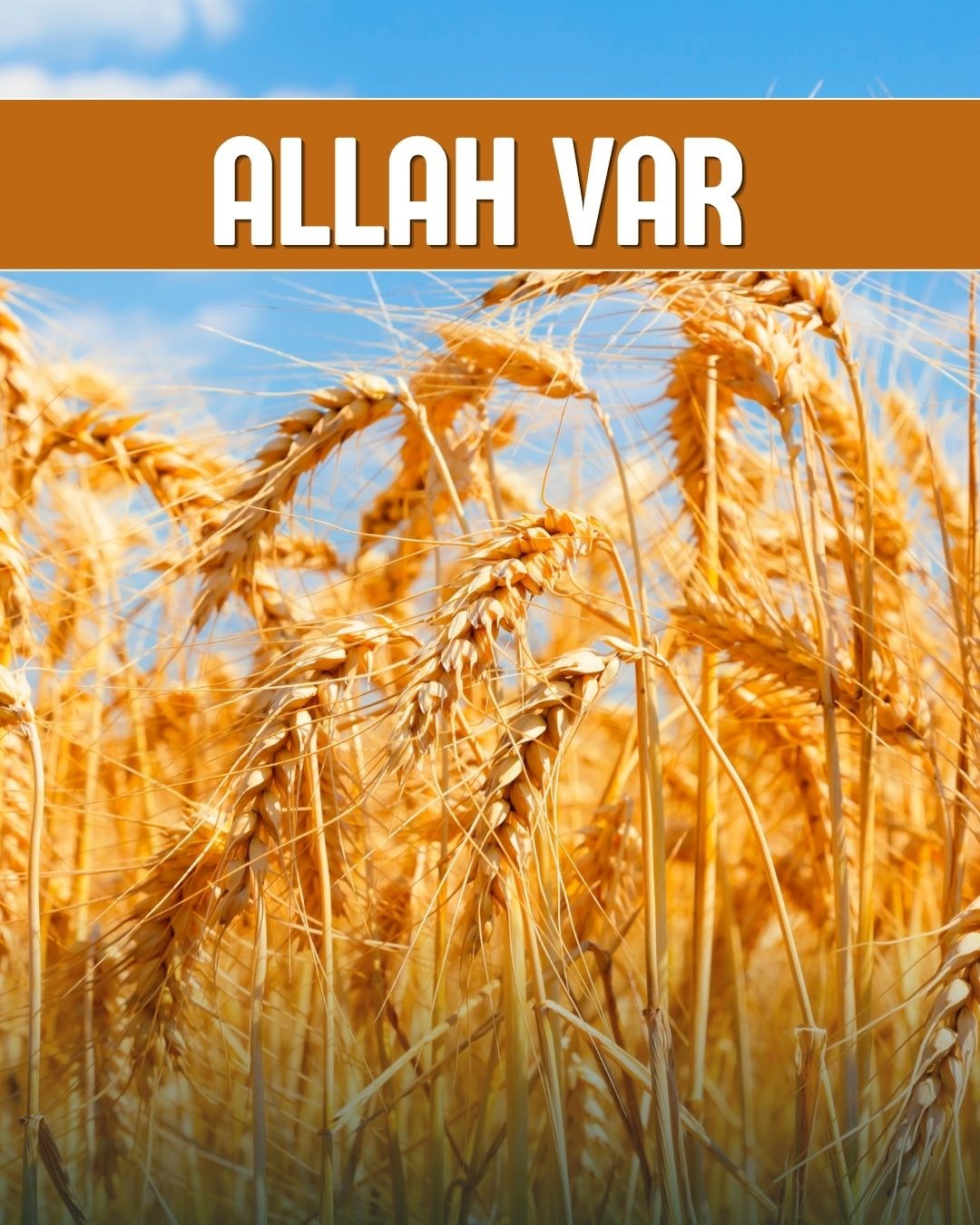 Allah Var 