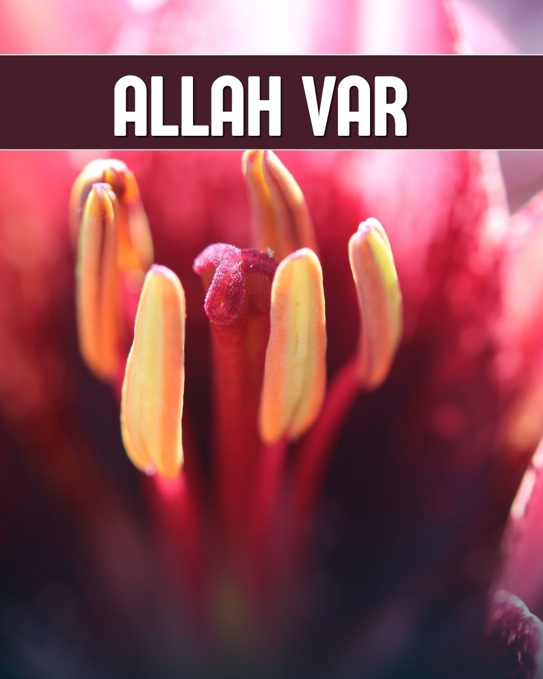 Allah Var 