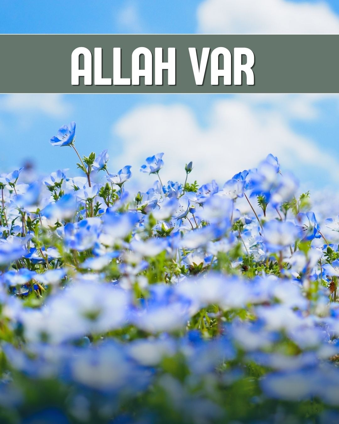 Allah Var 