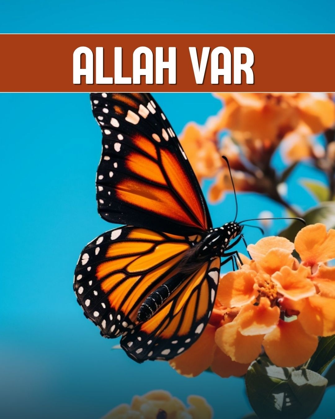 Allah Var 