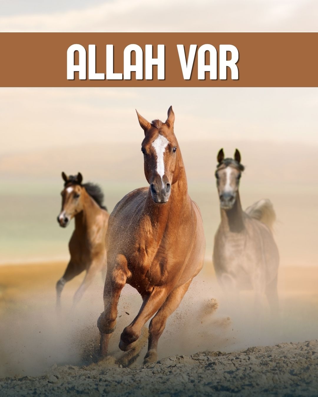 Allah Var 