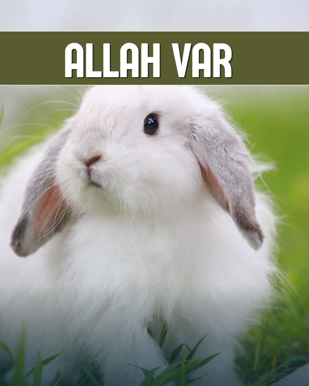Allah Var 