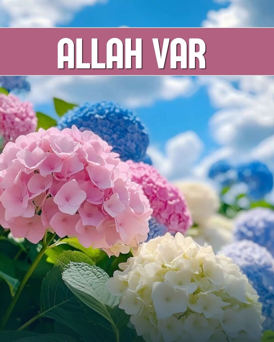 Allah Var 