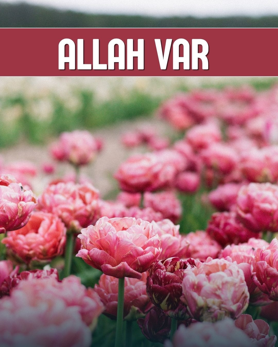 Allah Var 