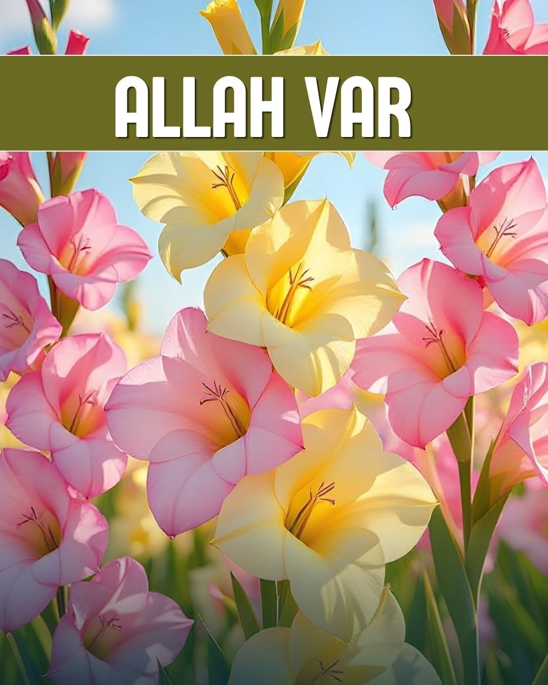 Allah Var 