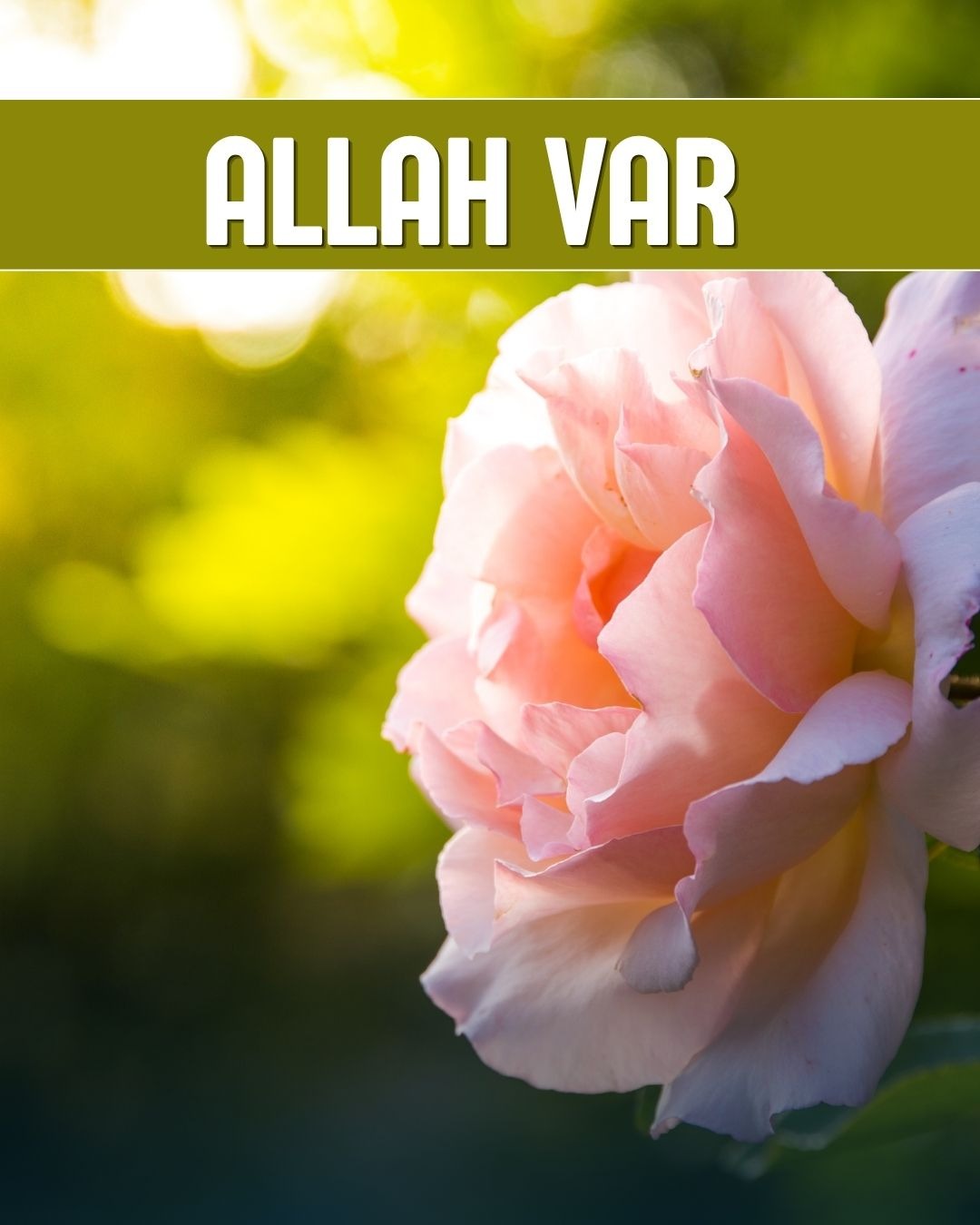 Allah Var 