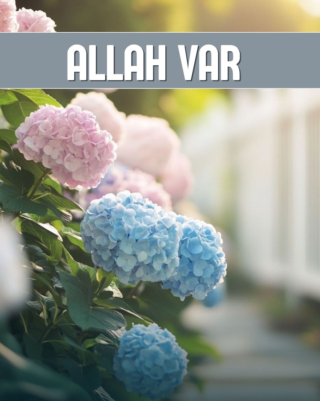 Allah Var 
