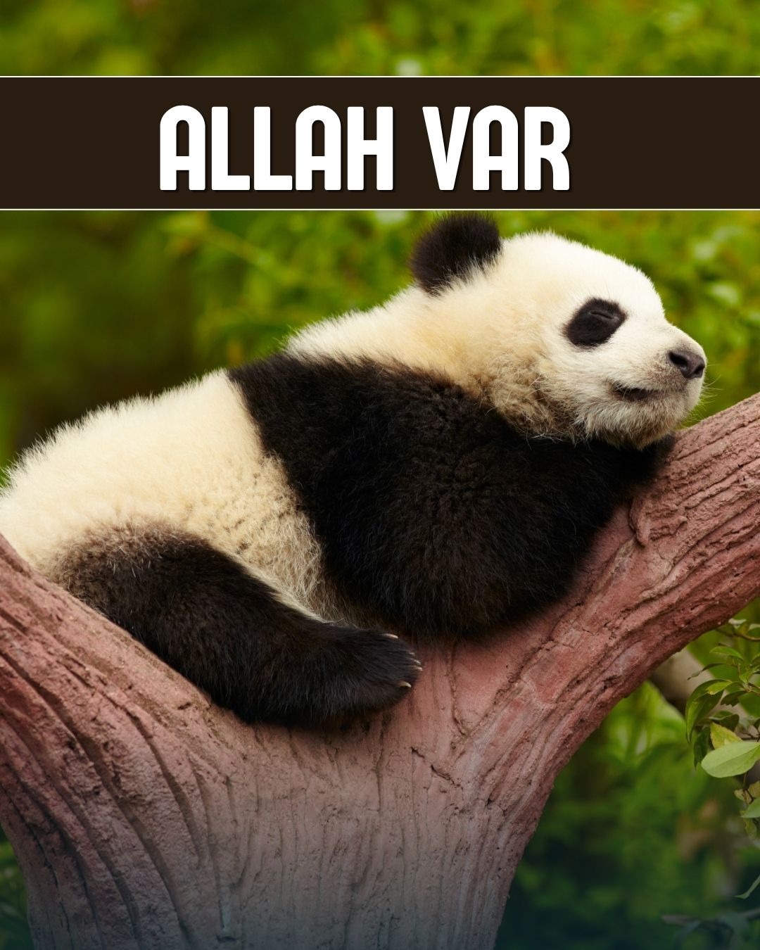 Allah Var 