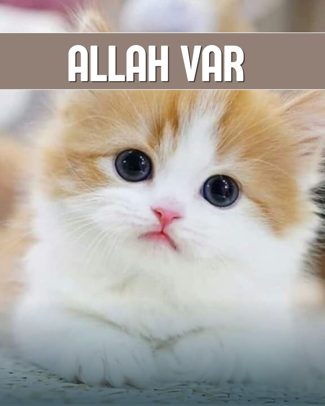 Allah Var 