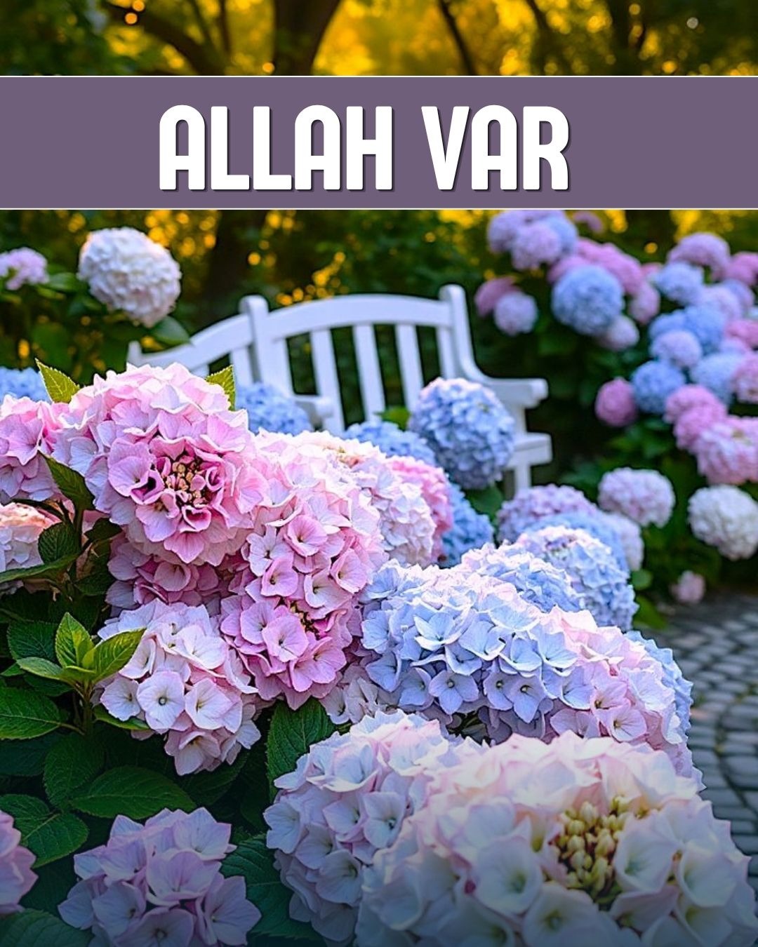 Allah Var 