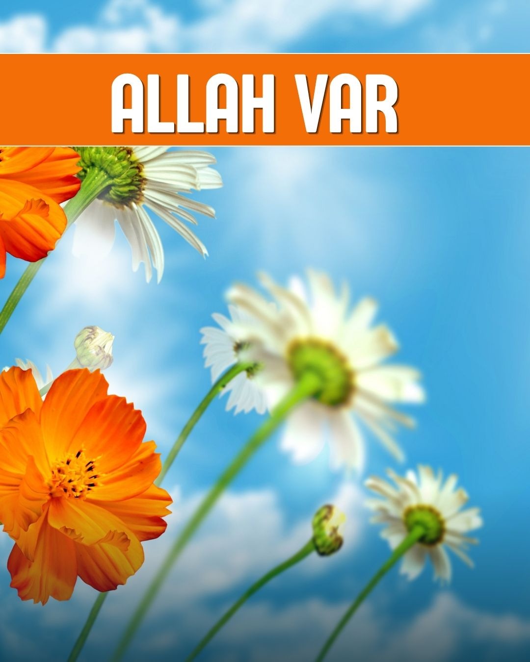 Allah Var 